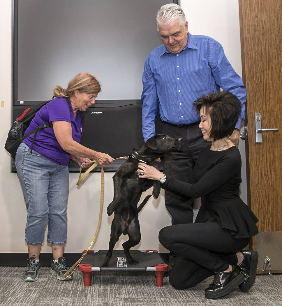 Blaze, a 5-month-old black lab and golden retriever mix, meets with Nevada Gov. Steve Sisolak a ...