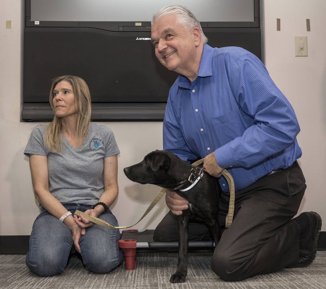 Gov. Steve Sisolak, right, with Danielle Roth, president of retriever rescue of Las Vegas, pets ...