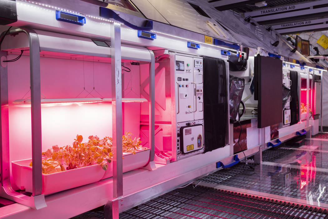 Fresh vegetable gardens on the B330 Mars Transporter Testing Unit at Bigelow Aerospace in North ...