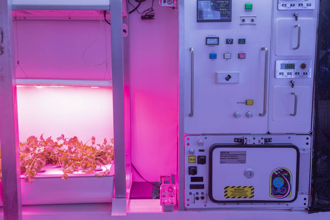 A fresh vegetable garden on the B330 Mars Transporter Testing Unit at Bigelow Aerospace in Nort ...