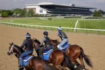 FILE--Riders workout with horses at Belmont Park in Elmont, N.Y., Thursday, June 6, 2019. (AP P ...