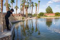 Angel Casares, 15, fishes at the pond at Lorenzi Park in Las Vegas. Weather in the Las Vegas Va ...