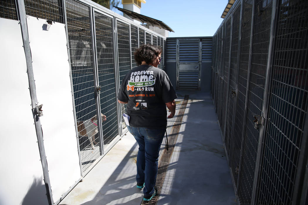 Animal care manager Laurel Montgomery gives a tour of at the The Animal Foundation in Las Vegas ...