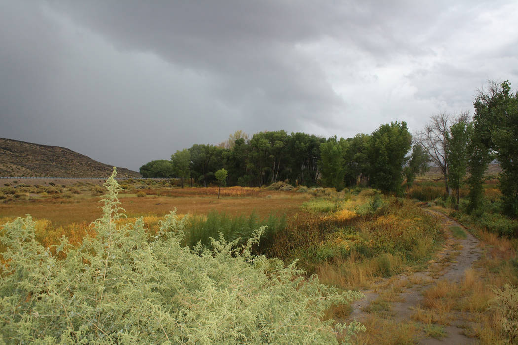 There are more than nine miles of hiking and mountain bike trails in Pahranagat National Wildli ...