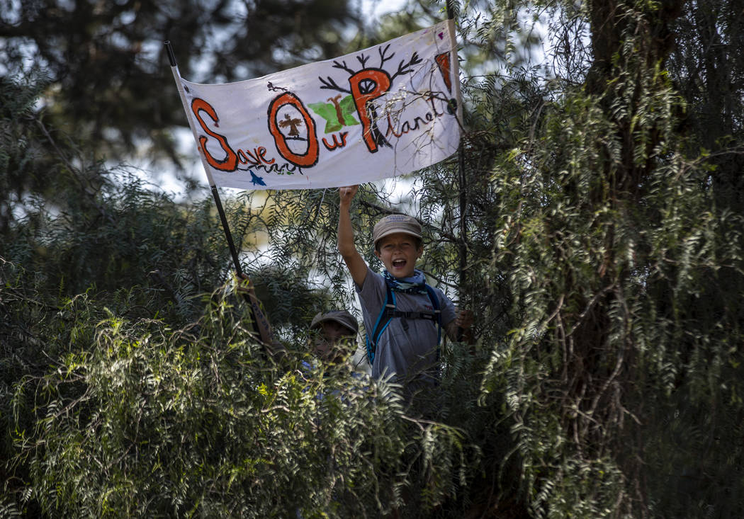 A young boy sits in a tree to get a view joins around a thousand other protesters to demand act ...