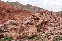 Calico Basin at Red Rock National Conservation Area (Las Vegas Review-Journal)