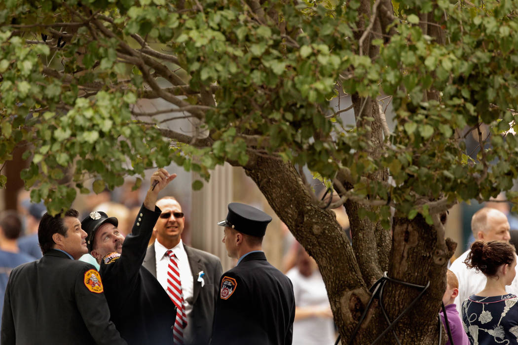 Little Falls Awarded 9/11 Memorial Survivor Tree Seedling