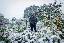 Garden City Harvest grower Brihannala Morgan gazes over her five-row plot after harvesting the ...