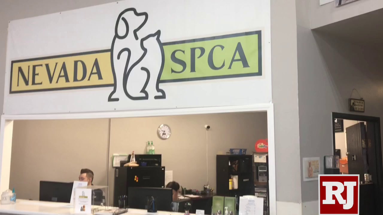 Protecting Southern Nevada’s Animals, image size:1280x720