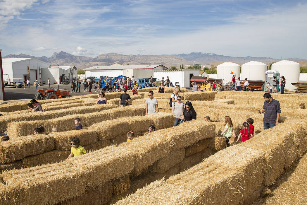 Guests run through the hay maze at Gilcrease Orchard in Las Vegas, Thursday, Sept. 26, 2019. (R ...