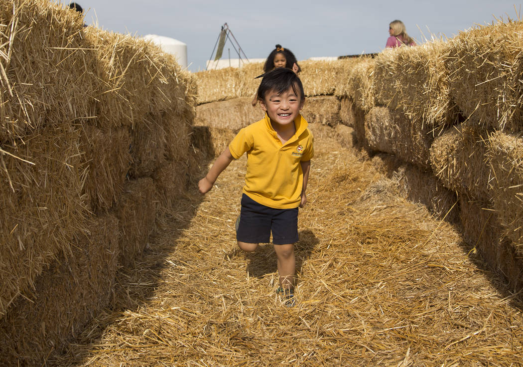 Dominic Teng, 4, runs through the hay maze at Gilcrease Orchard in Las Vegas, Thursday, Sept. 2 ...
