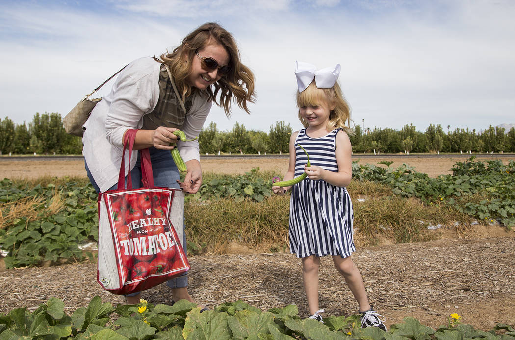 Christine Garcia helps her daughter Natalie Garcia, 4, pick cucumbers at Gilcrease Orchard in L ...