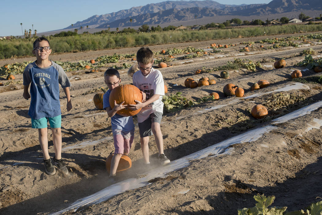 Dominic W., 9, from left, walks alongside his brothers Dennis W., 7, and Elijah W., 9, as they ...