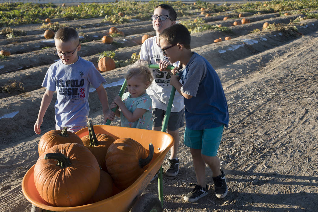 Dennis W., 7, from left, his siblings Emma-lee W., 5, Elijah W., 9, and Dominic W., 9, push a w ...