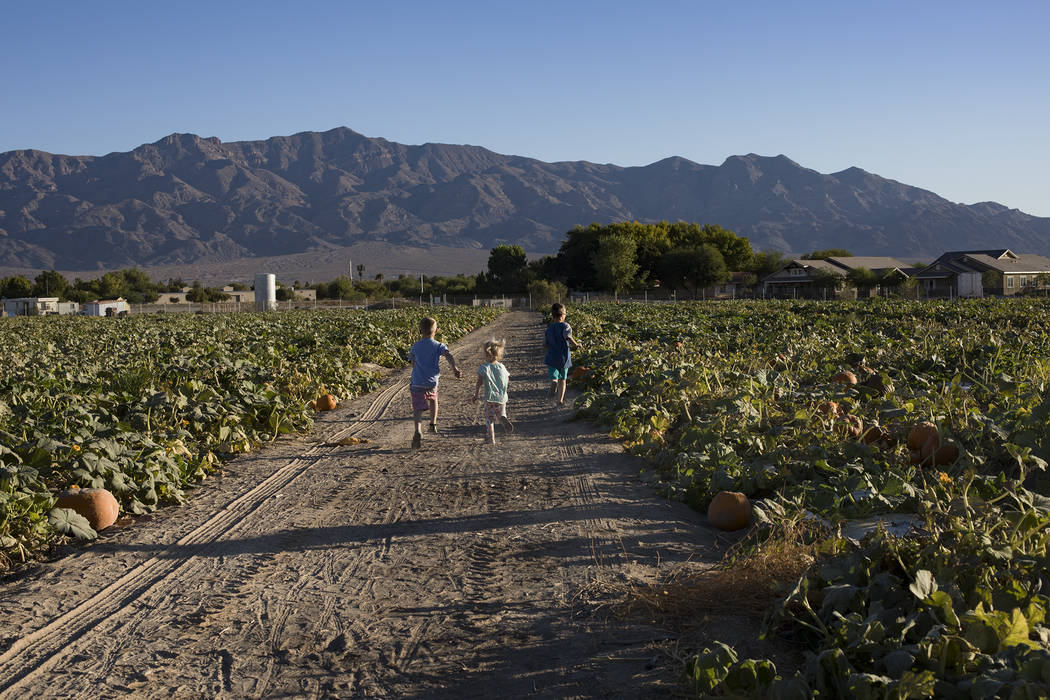 Dennis W., 7, from left, runs with his siblings Emma-lee W., 5, and Dominic W., 9, through the ...