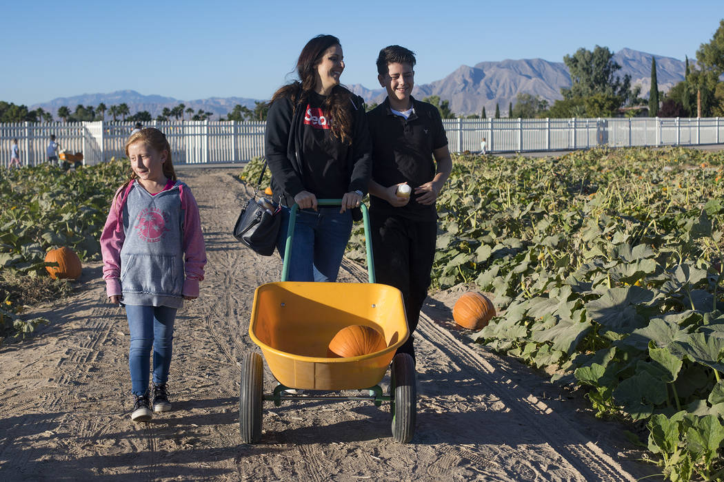 Melissa Swasey, center, looks for pumpkins with her daughter Ella Swasey, 9, left, and her son ...