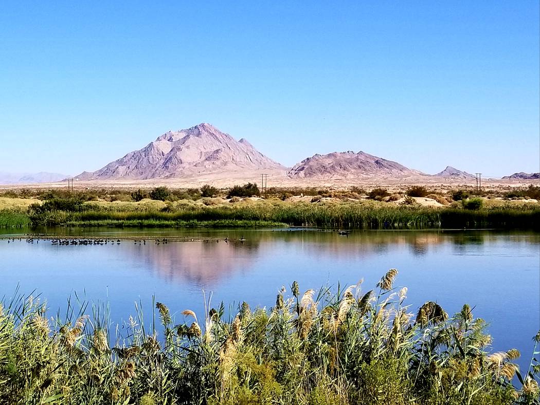 Mountains frame the horizon at Clark County Wetlands Park. (Natalie Burt)