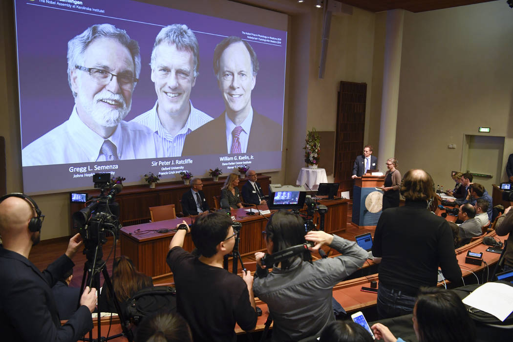 Thomas Perlmann, far right, Secretary-General of the Nobel Committee announces the 2019 Nobel l ...