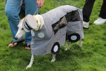 The free Family, Fur & Fun Festival features a Halloween Pet Costume Contest at 1:30 p.m. Satur ...