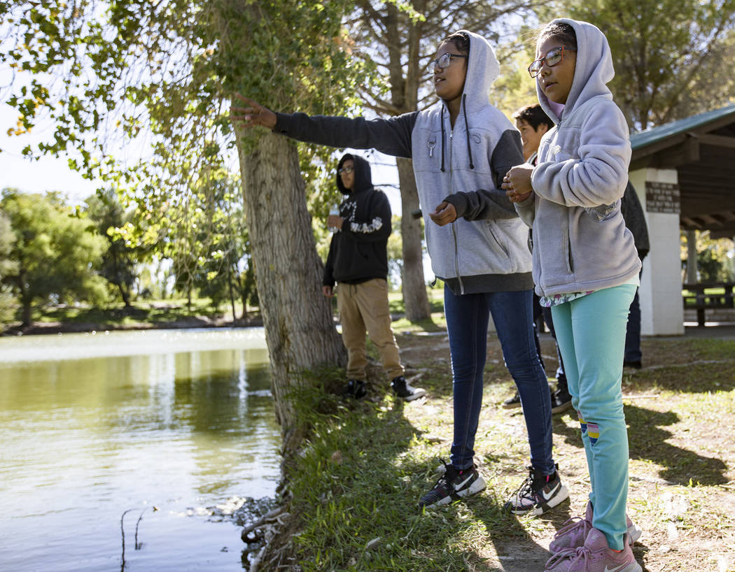 Linda Coriz, 12, center, throws pieces of bread to geese next to her sister Nevaeh Perea, 9, ri ...