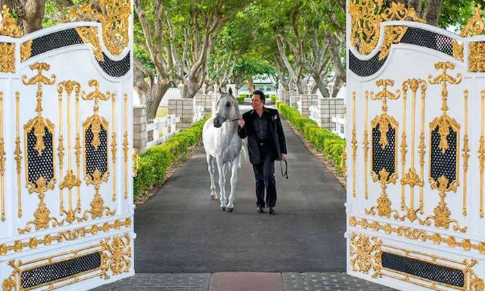 Wayne Newton is shown at the gated entrance of Casa de Shenandoah, which has been sold, along w ...
