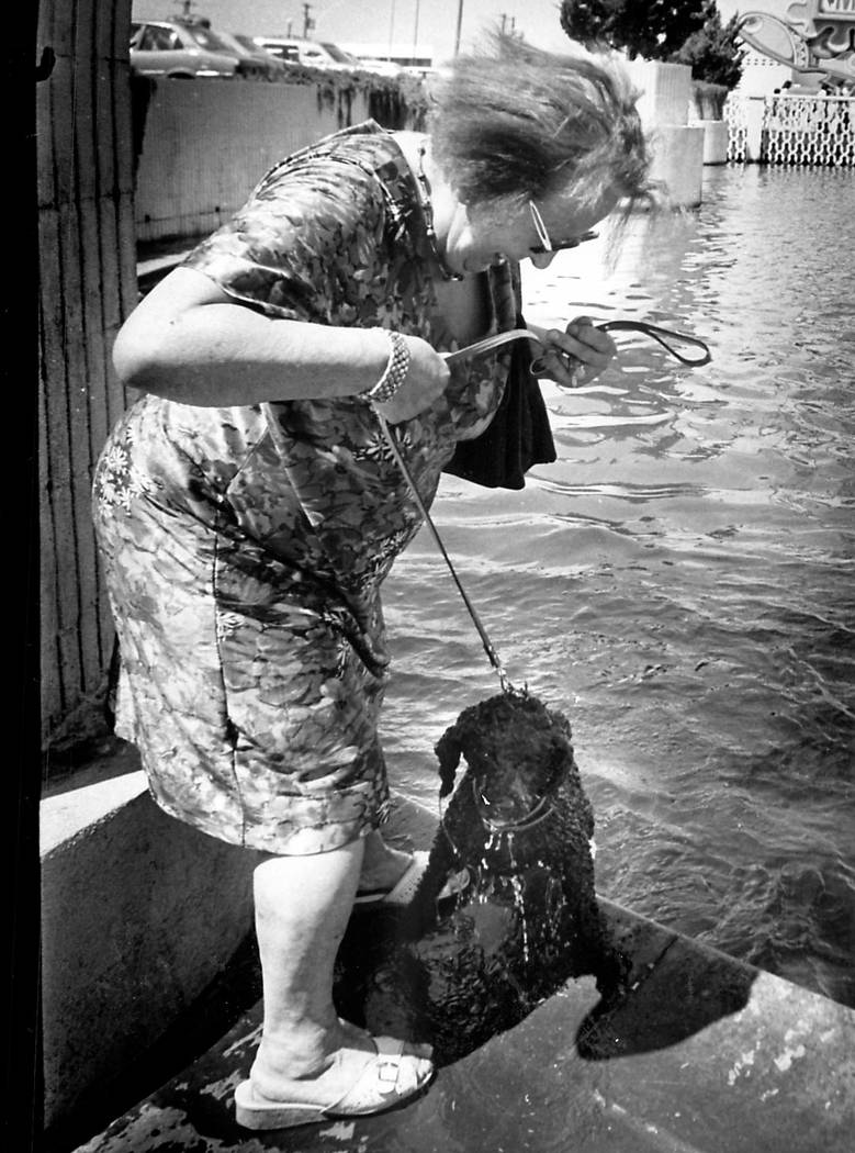A tourist from Wiesbaden, Germany, pulls her pet poodle, Cindy from the water at the fountain o ...