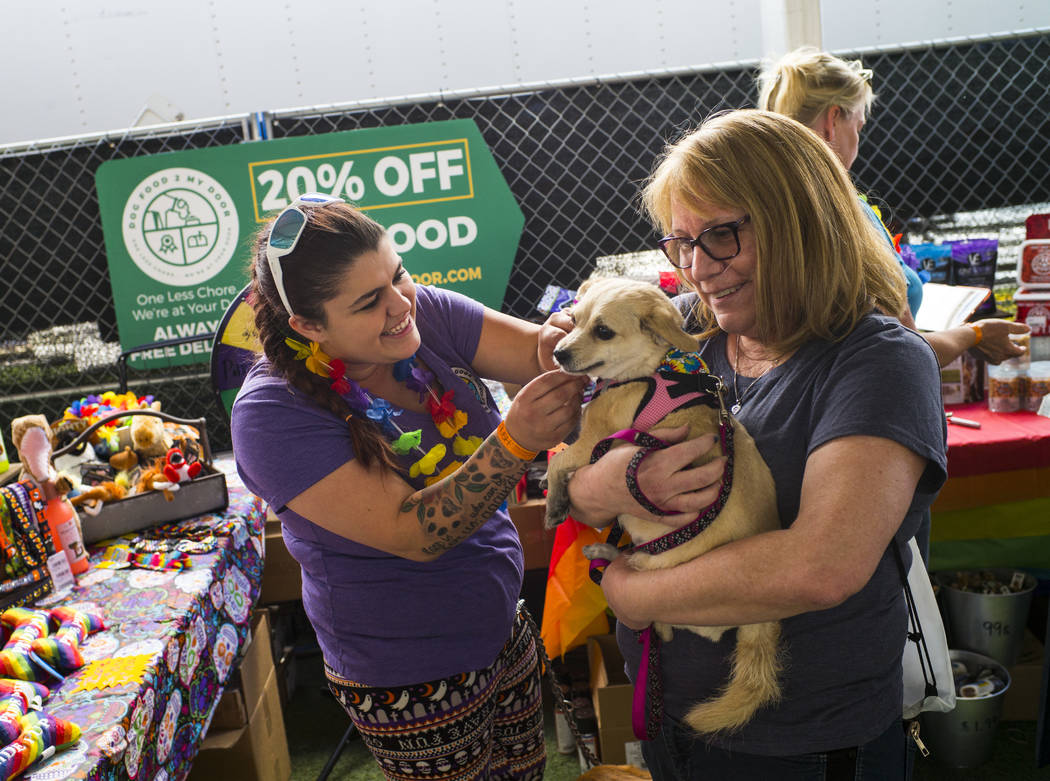 Las Vegas PRIDE Pets - Las Vegas PRIDE