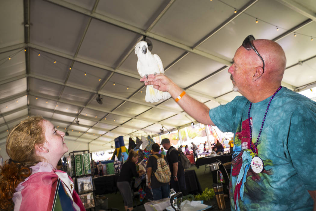 Rick Kaplan, of the SouthWest Exotic Avian Rescue, holds up Coco Puff, an umbrella cockatoo, as ...