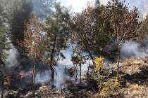 Fire and smoke are seen in the Mary Jane Falls area of Mount Charleston in this photo from the ...