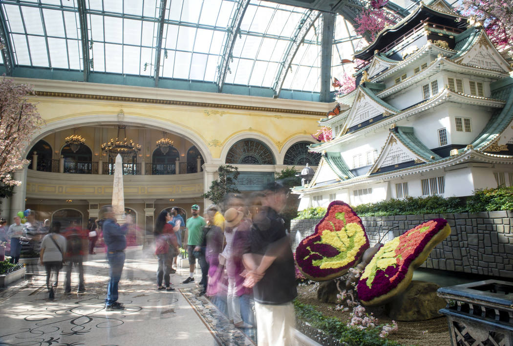 The Bellagio showcases its spring display at the Bellagio Conservatory & Botanical Gardens ...