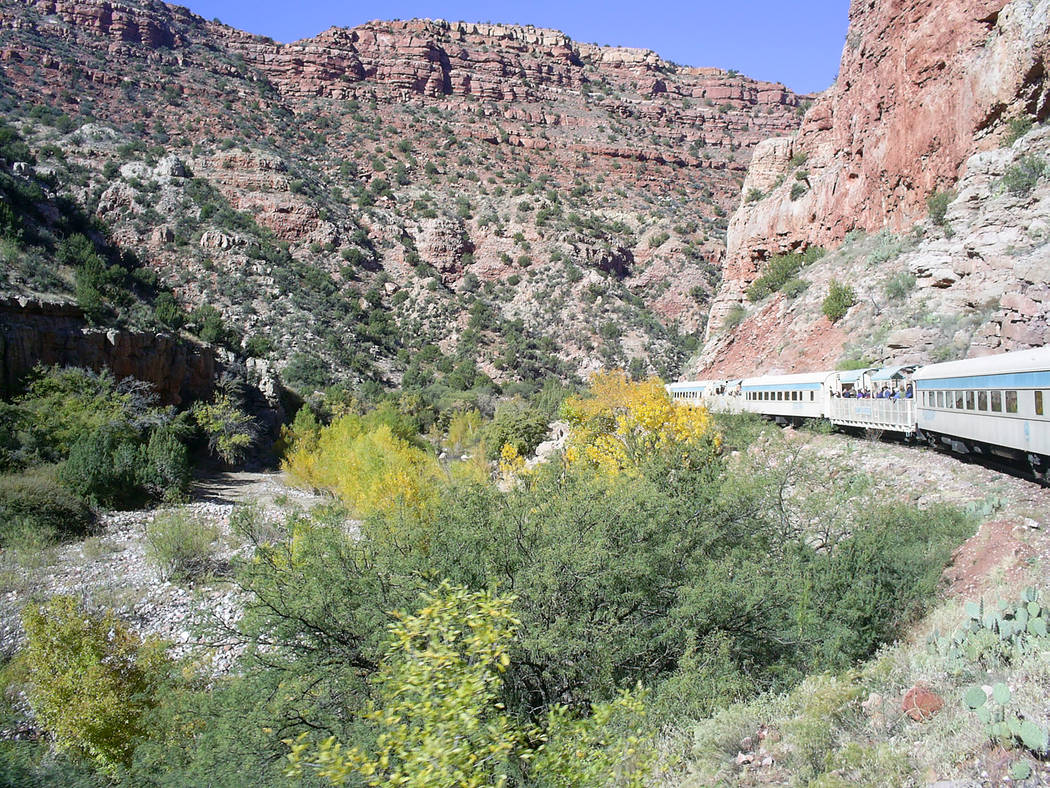 The Verde River supports a wide variety of Western wildlife, including javelinas, antelope, dee ...