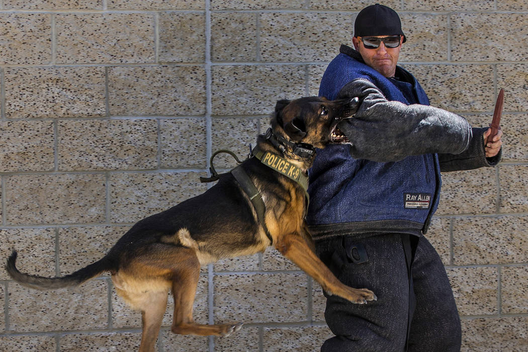Las Vegas Metropolitan Police officer Shad Rollo as a "bad guy with a knife" is attac ...