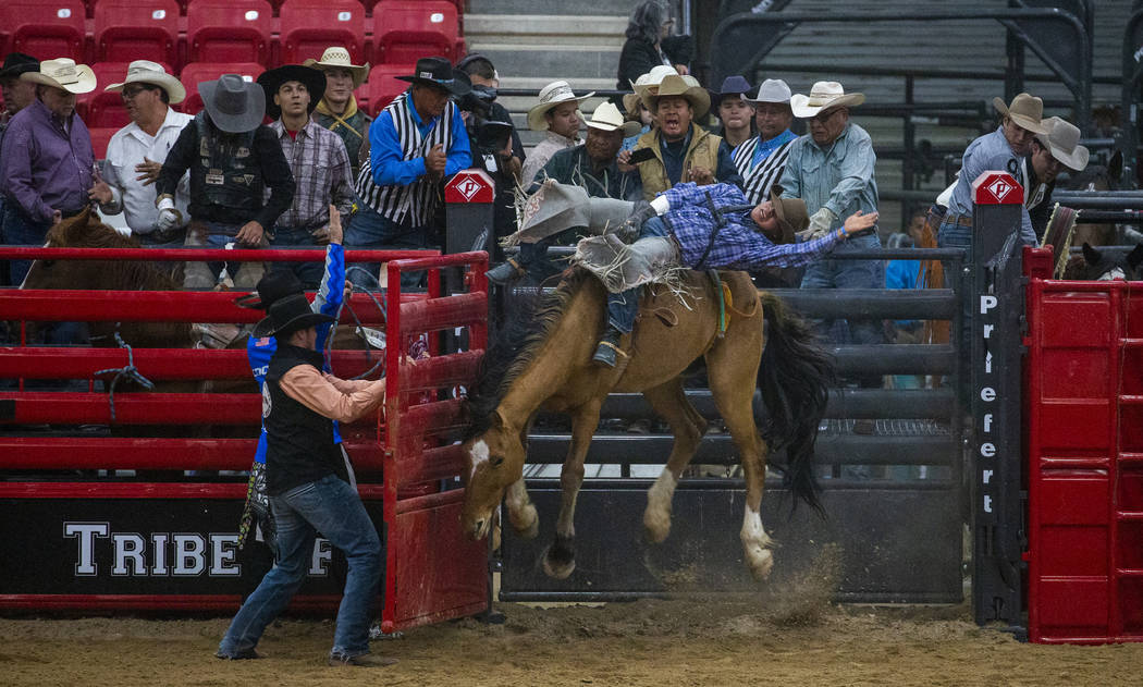 Bareback rider Rodney Begay rides with his horse elevating in the chute during the first round ...
