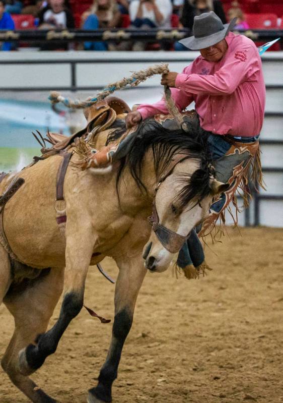 Saddle bronc rider Robert Burbank gets bucked off of the horse during the first round of the In ...