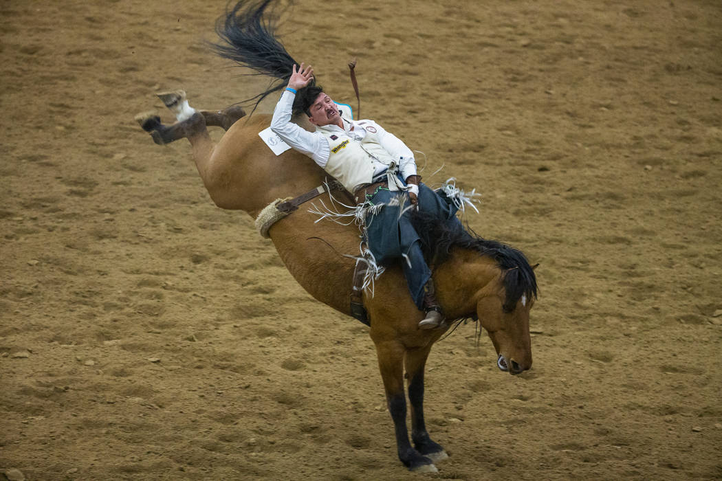 Bareback rider Justin Randall leans way back on his horse during the first round of the Indian ...
