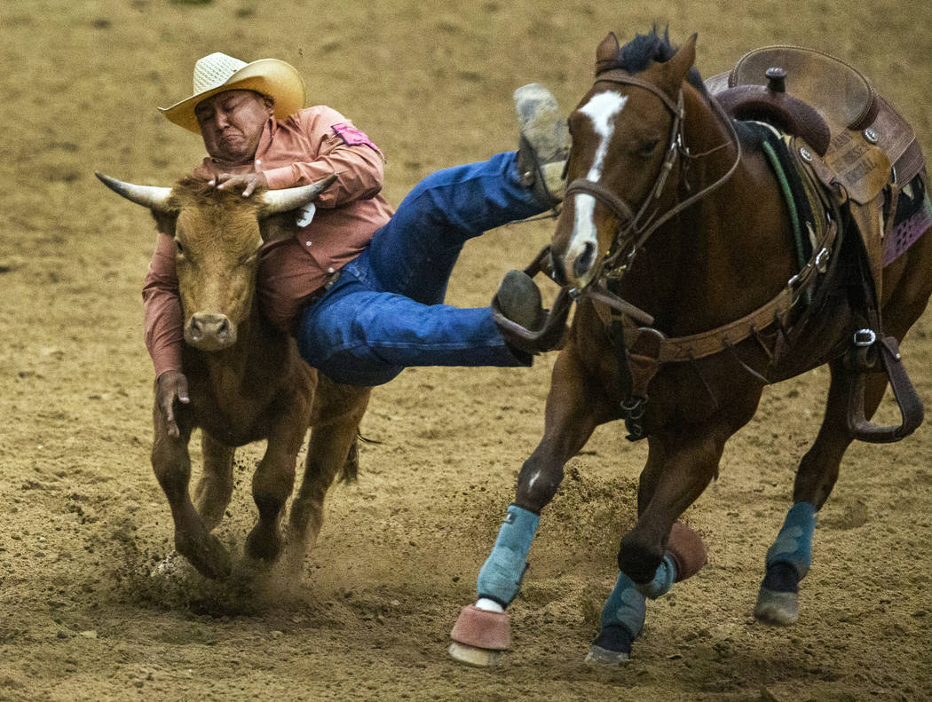 Steer wrestler Michael Bates is out of position to make the grab as he comes down on the steer ...