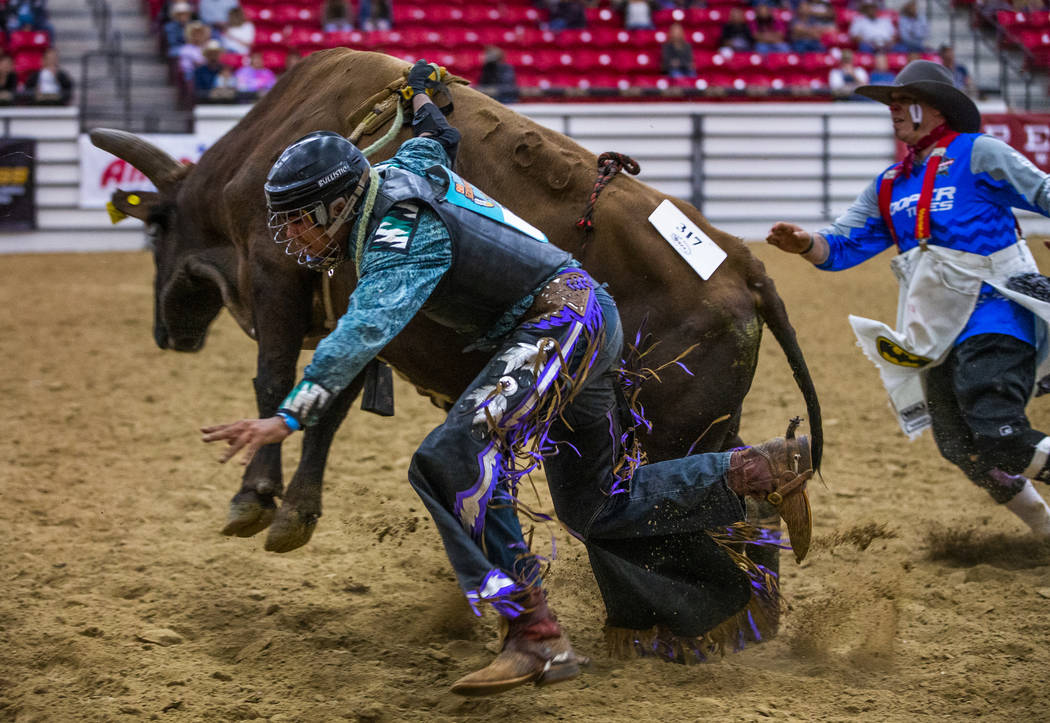 Bull rider Jaylen Baker is dragged around the ring attached to his bull after being thrown duri ...