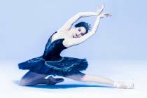 Nevada Ballet Theatre will perform "Swan Lake" this weekend. (Jerry Metellus)