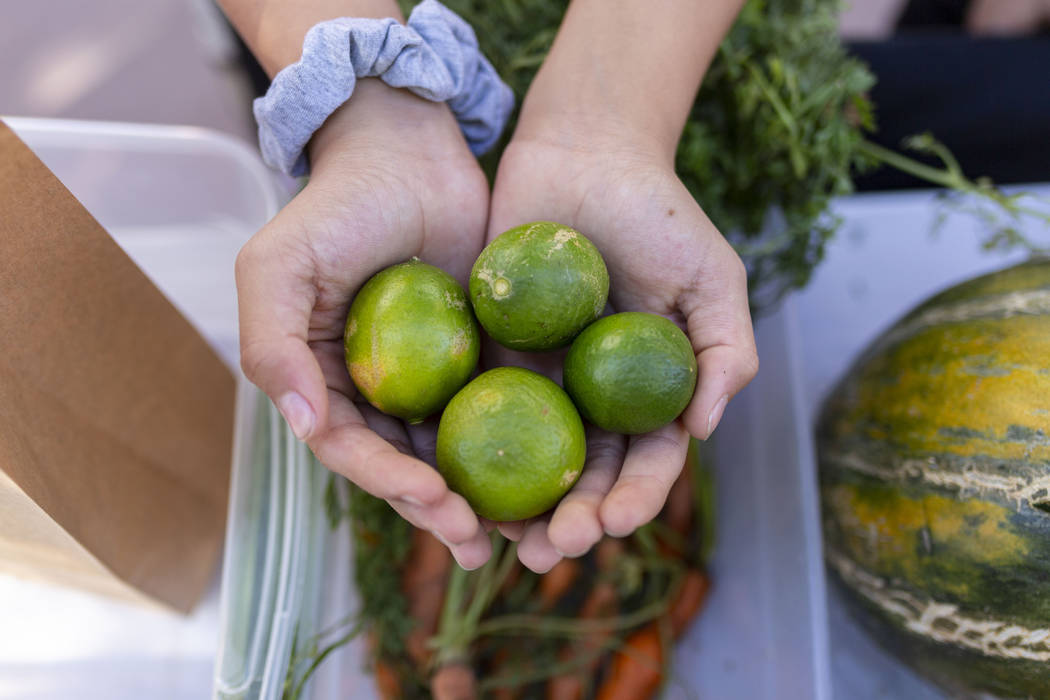 A Helen Herr Elementary student sells their garden club's limes during the nation's largest stu ...