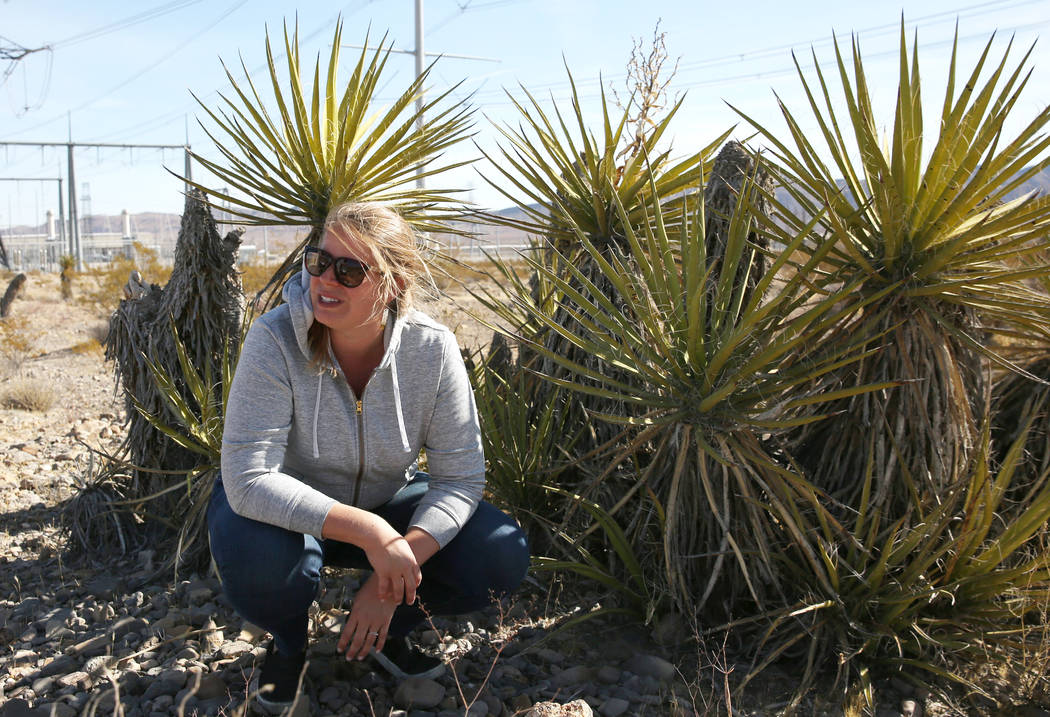 Lara Kobelt, natural resource specialist for the Bureau of Land Management, Southern Nevada Dis ...