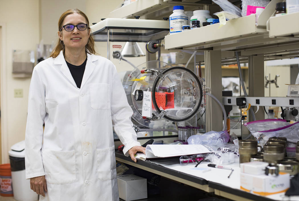 Dr. Libby Hausrath at her lab at the University of Las Vegas in Las Vegas, Thursday, Oct. 24, 2 ...