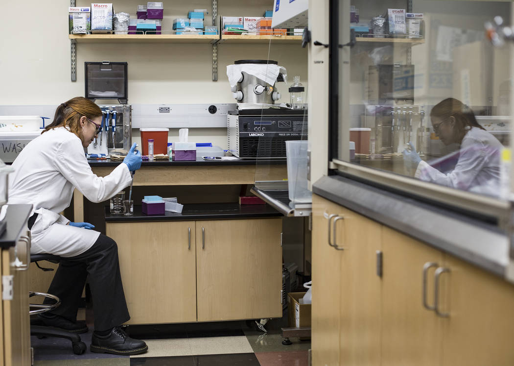 Dr. Libby Hausrath works in her lab at the University of Las Vegas in Las Vegas, Thursday, Oct. ...