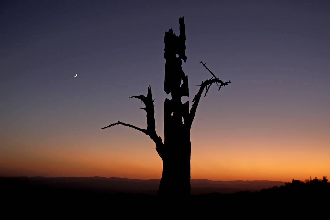 A charred tree stands above a smoky valley in the aftermath of the Kincade Fire near Healdsburg ...