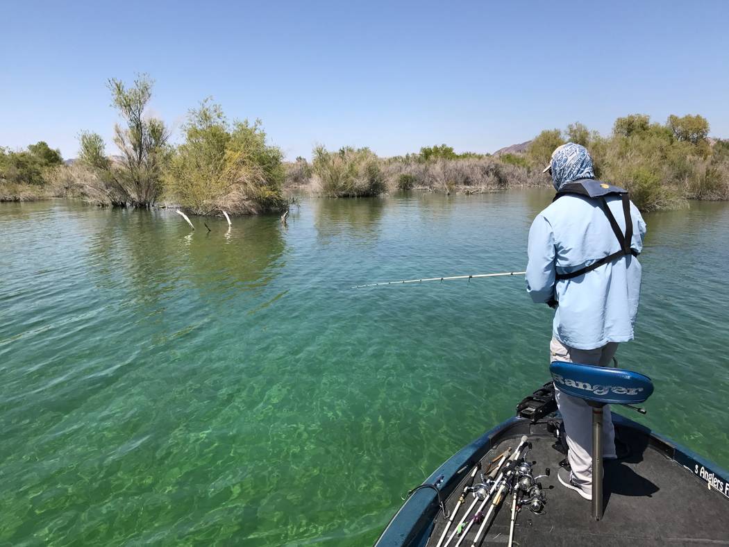 Nevada fishing report, Nov. 20, 2019 Las Vegas ReviewJournal