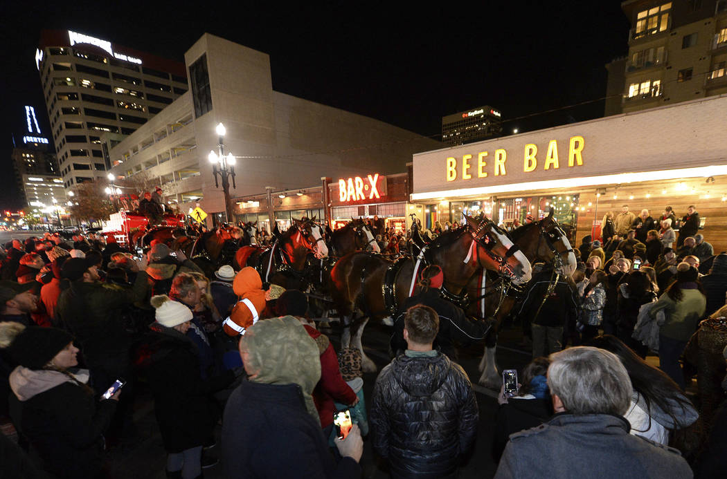 Budweiser's iconic Clydesdales walk in a procession, Wednesday, Oct. 30, 2019, in Salt Lake Cit ...