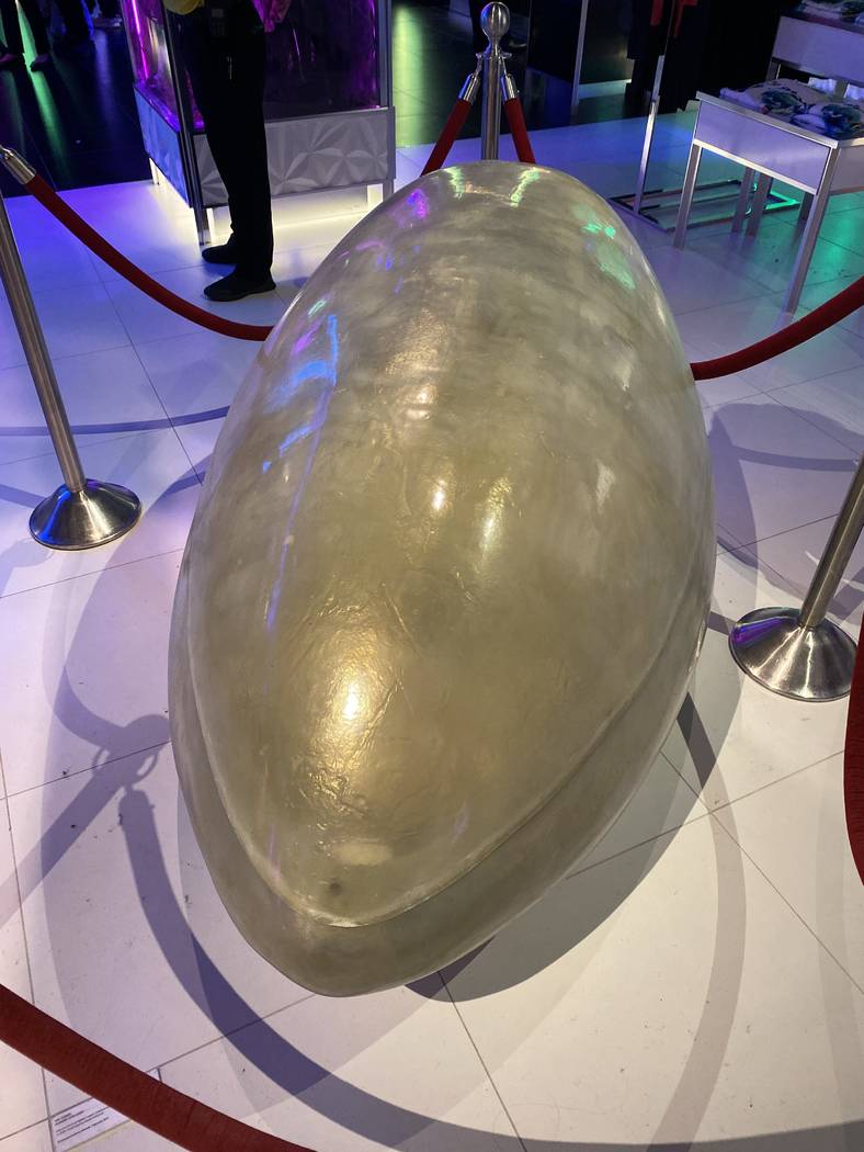 The egg-shaped vessel from Lad Gaga's “Born This Way” performance at the 2011 Grammy Awards ...