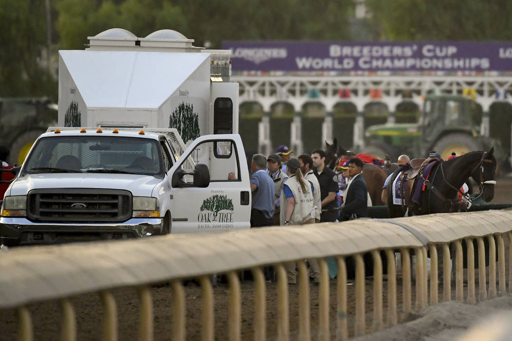 Track workers treat Mongolian Groom it broke down during the Breeders' Cup Classic horse race a ...