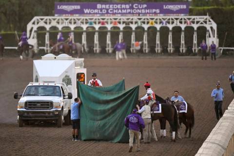 Track workers treat Mongolian Groom after the Breeders' Cup Classic horse race at Santa Anita P ...