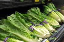 FILE - This Nov. 20, 2018 file photo shows Romaine Lettuce in Simi Valley, Calif. Health offic ...