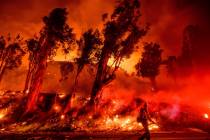 FILE - In this Nov. 1, 2019 file photo flames from a backfire consume a hillside as firefighter ...